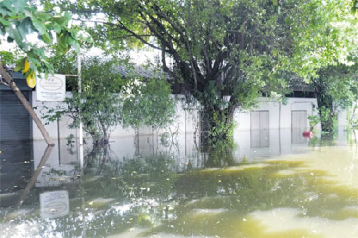 ต้นไม้กับการเรียนรู้ สู้ภัยน้ำท่วม