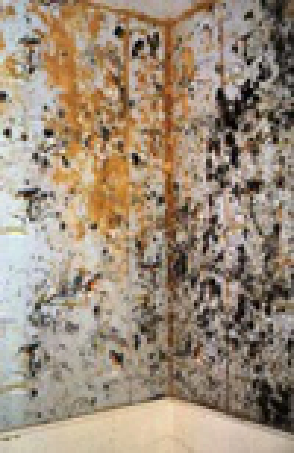 mould