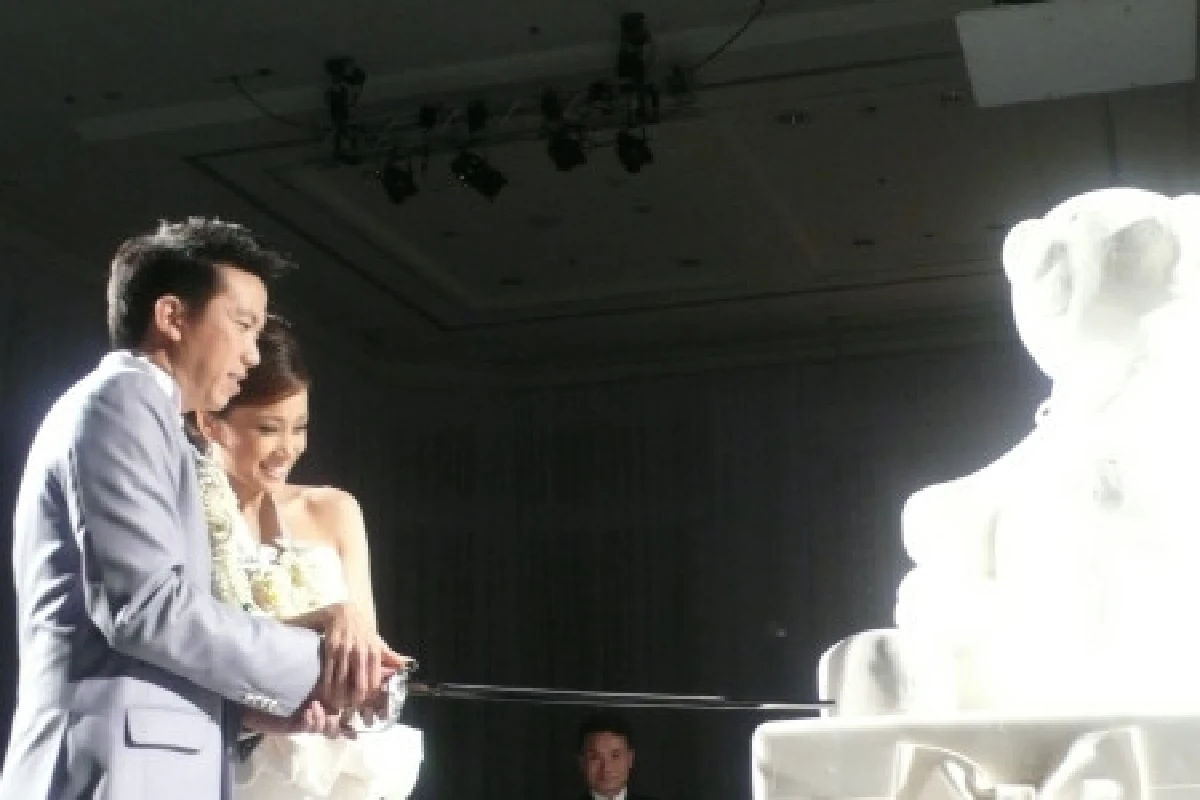 เมสินีควงสามีฮันนีมูนออสเตรีย