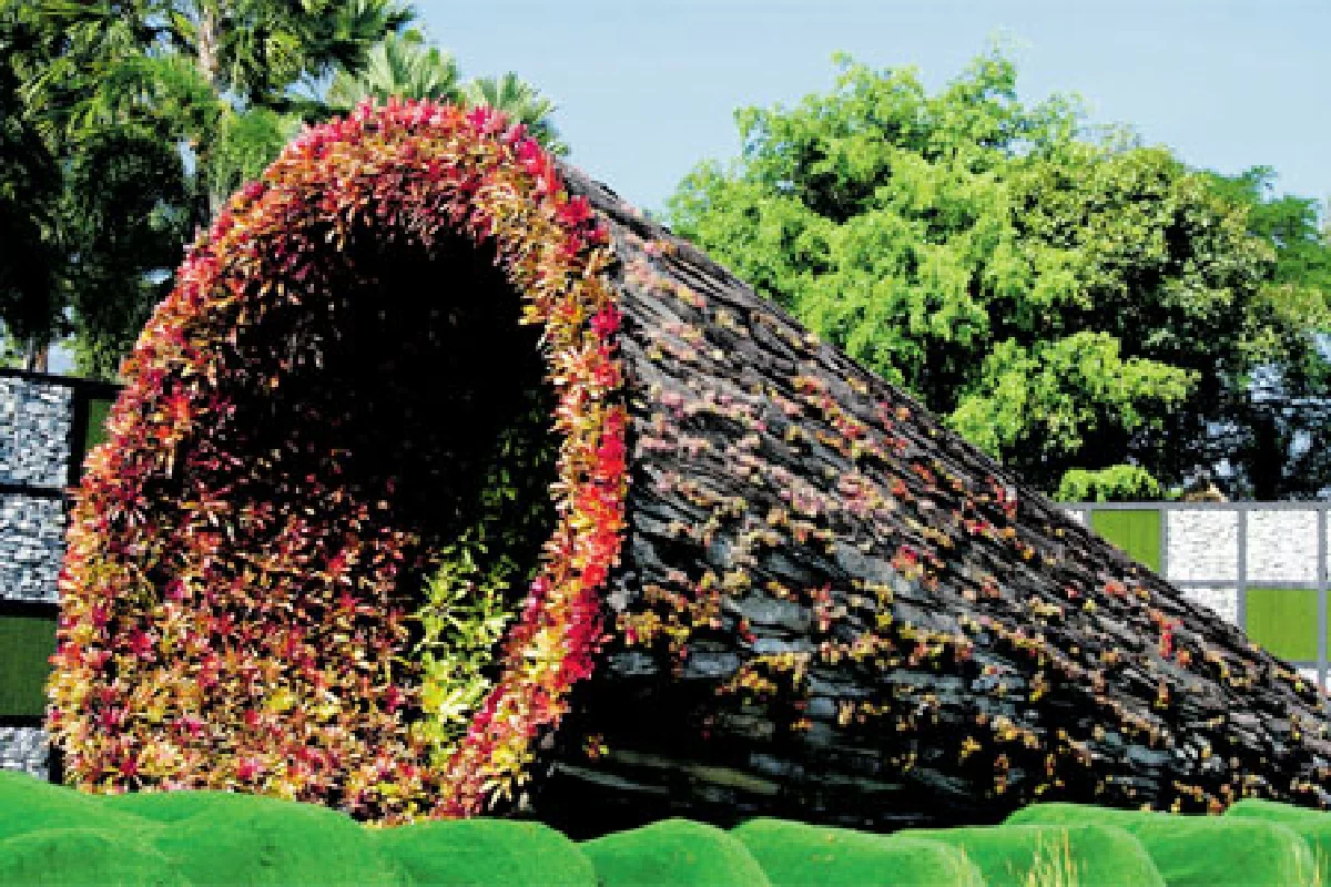 เยือนราชพฤกษ์ 54