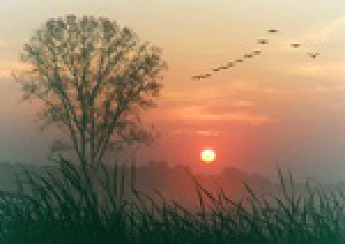 dawn