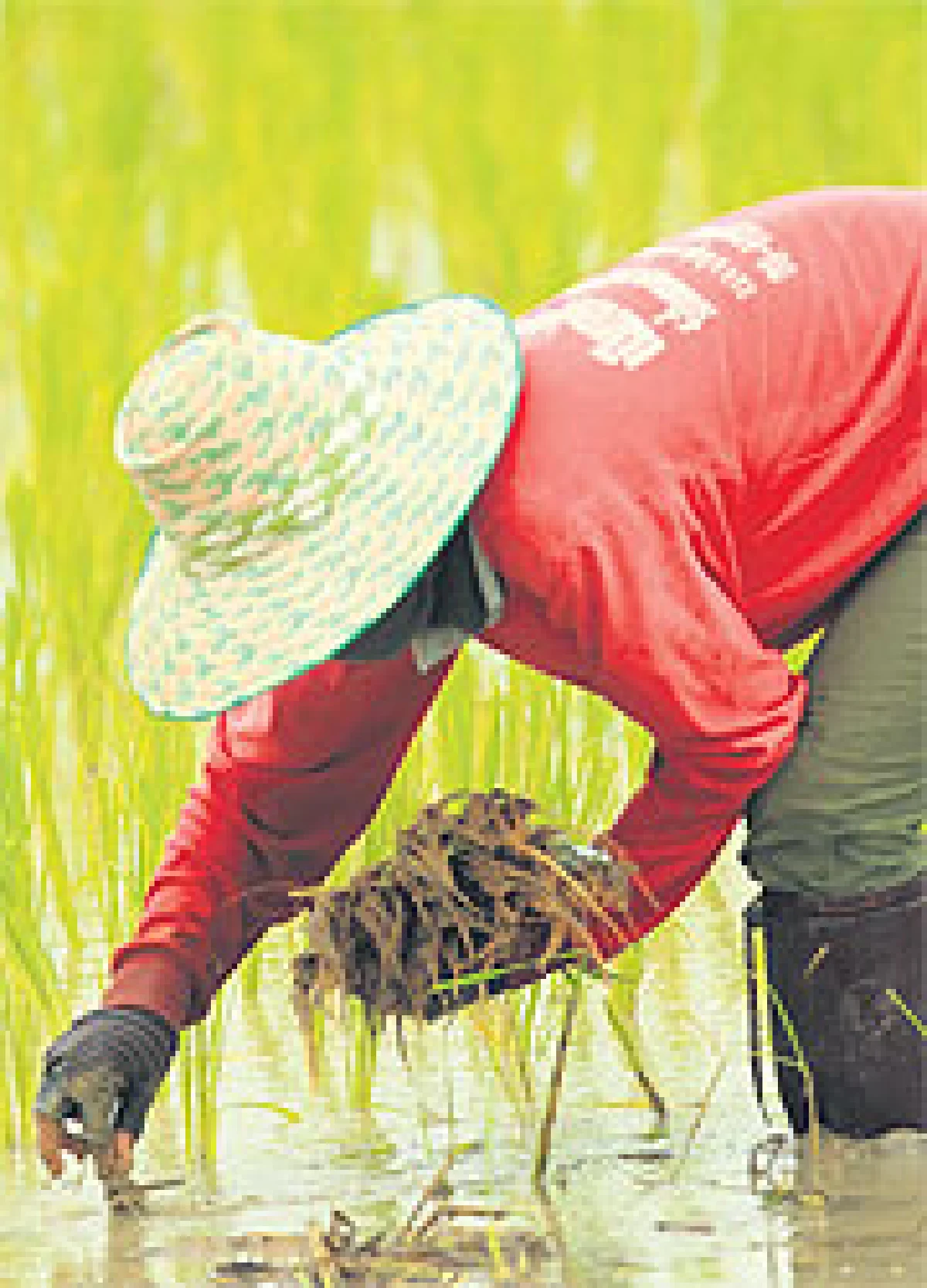 มหกรรมในหลวงรักเราฟื้นอาชีพ สร้างชีวิตใหม่