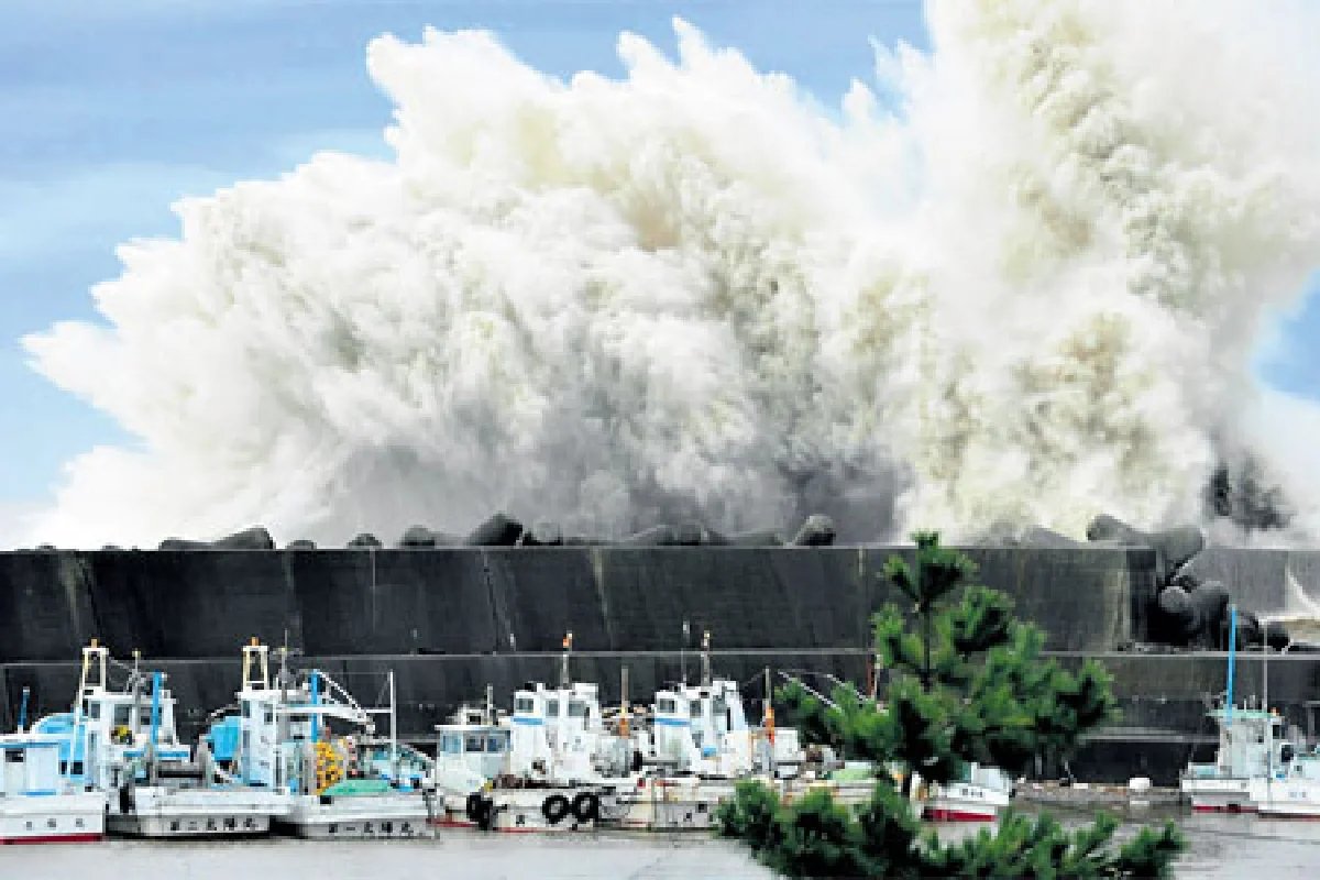 ปี 2011 ปีแห่งภัยพิบัติ