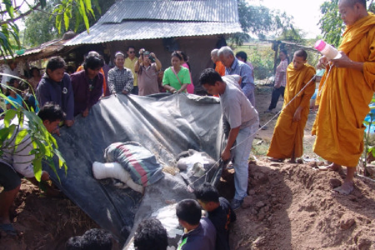 สลด!พลายร็อคกี้ตายแล้ว