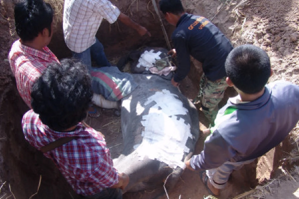 สลด!พลายร็อคกี้ตายแล้ว