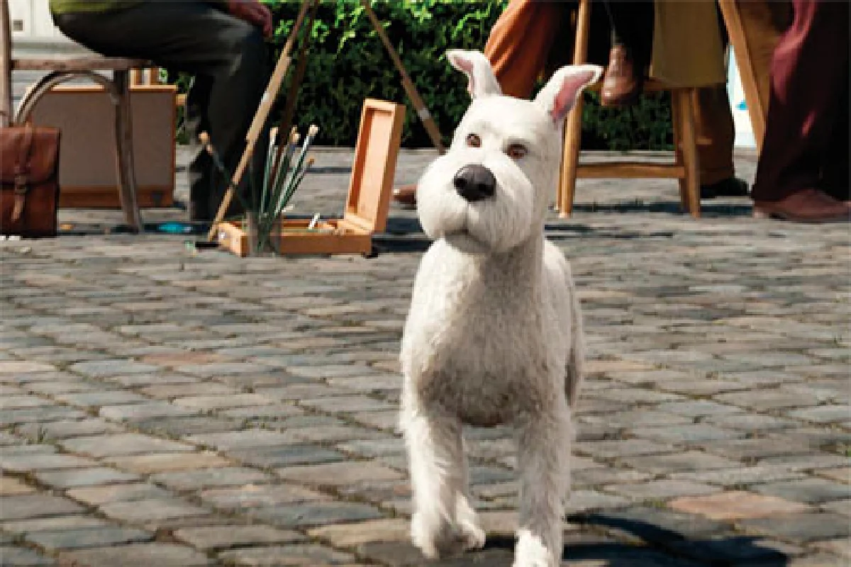 ตินติน...อิ่มจนเรอ