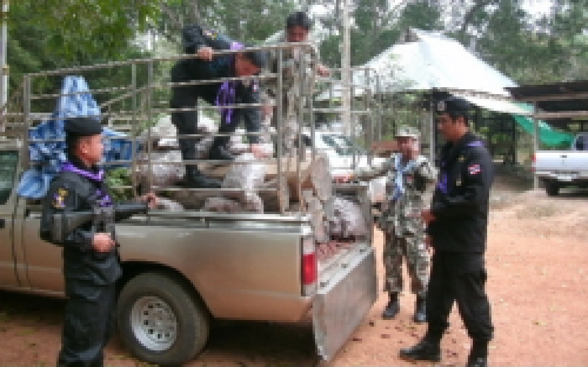 ยึดไม้พะยูงมูลค่ากว่า 2 ล้านบาท