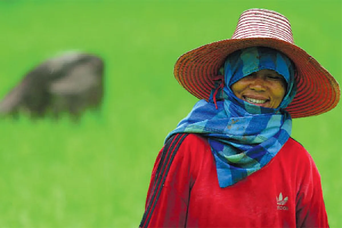การจัดการความโลภ : วิธีบริหารจัดการความโลภ (ตอน 4)