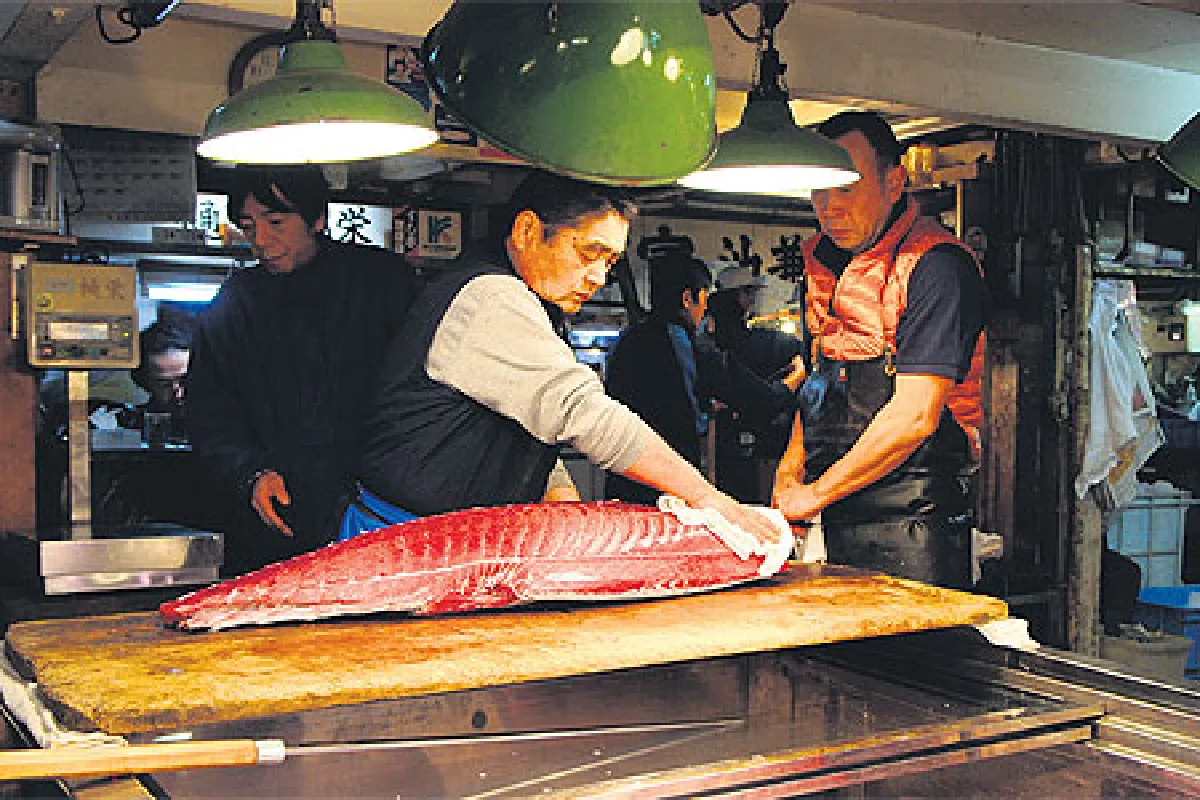 ชุดญี่ปุ่น ตอน ‘ปลา’ มหัศจรรย์อาหารแห่งห้วงมหาสมุทร