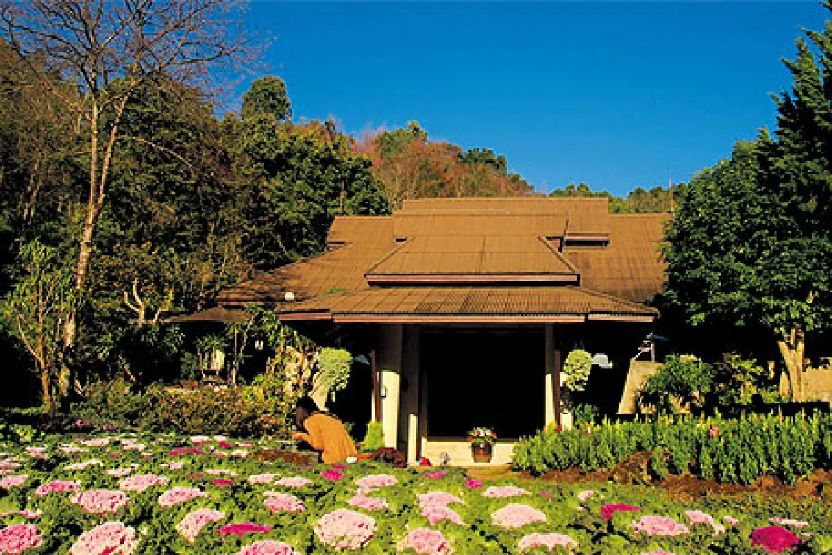 นอนบนอ่าง (ขาง)