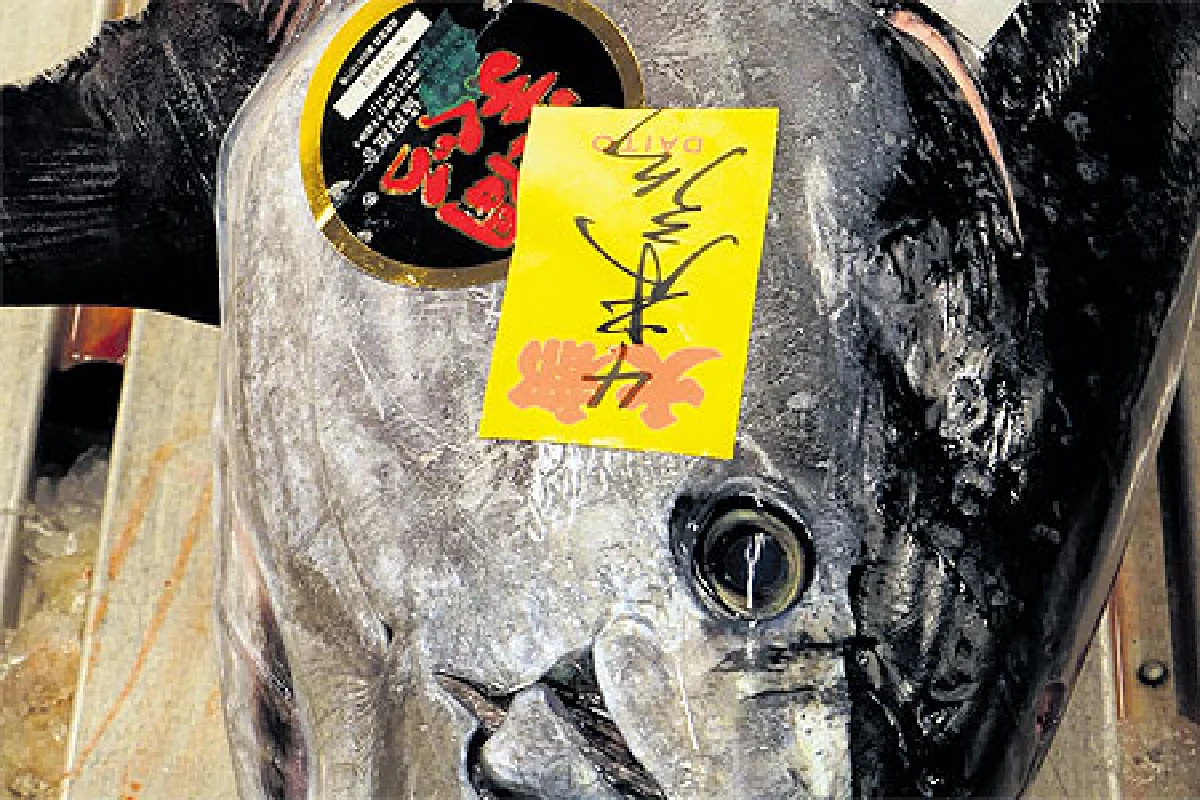 ชุดญี่ปุ่น ตอน ‘ปลา’ มหัศจรรย์อาหารแห่งห้วงมหาสมุทร