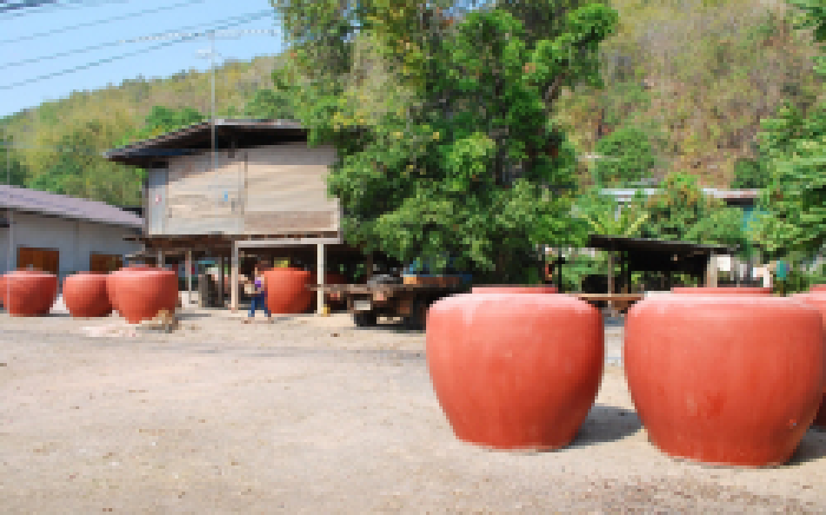 ชาวพิษณุโลกแห่ชื้อโอ่งเก็บน้ำหน้าแล้ง