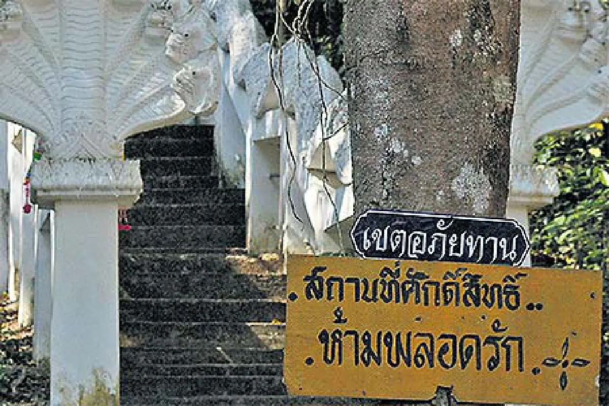 เที่ยวหัวใจใหม่ฯ ตอน เยือนบ้านพ่อที่ภูพาน