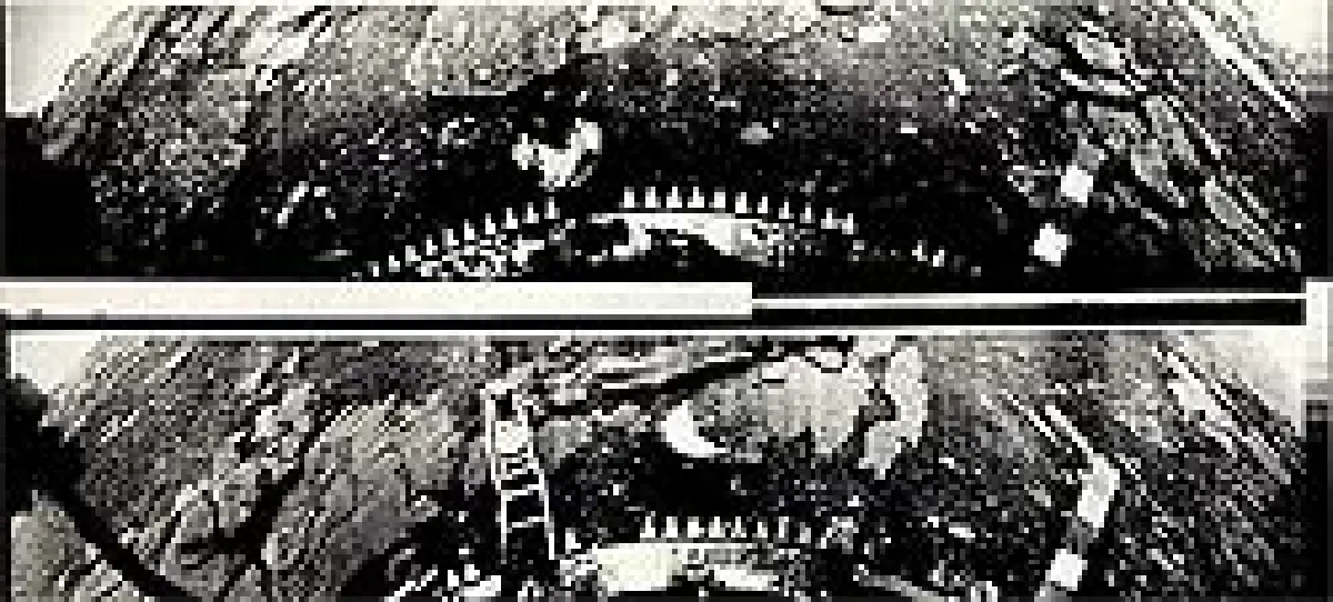 สิ่งมีชีวิตบนดาวศุกร์