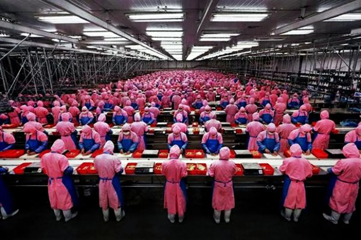 assembly line
