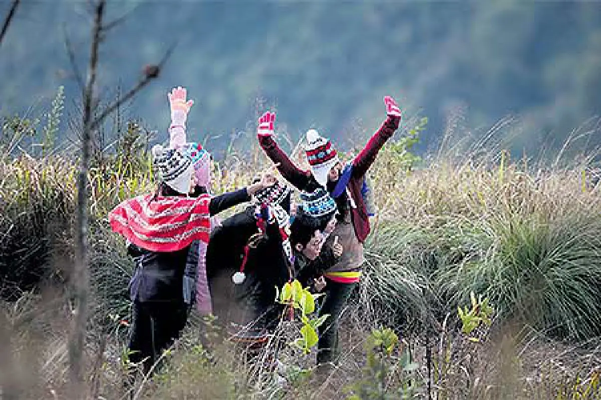 เที่ยวไปตามตะวัน (ในสายลมแรง)