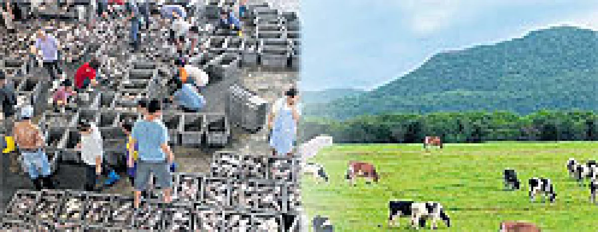 สังคายนา...รัฐวิสาหกิจบักโกรก