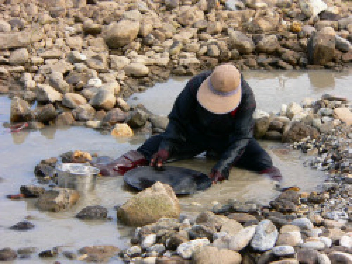 ลำปางตั้งกก.ออกใบอนุญาตร่อนทองแม่น้ำวัง