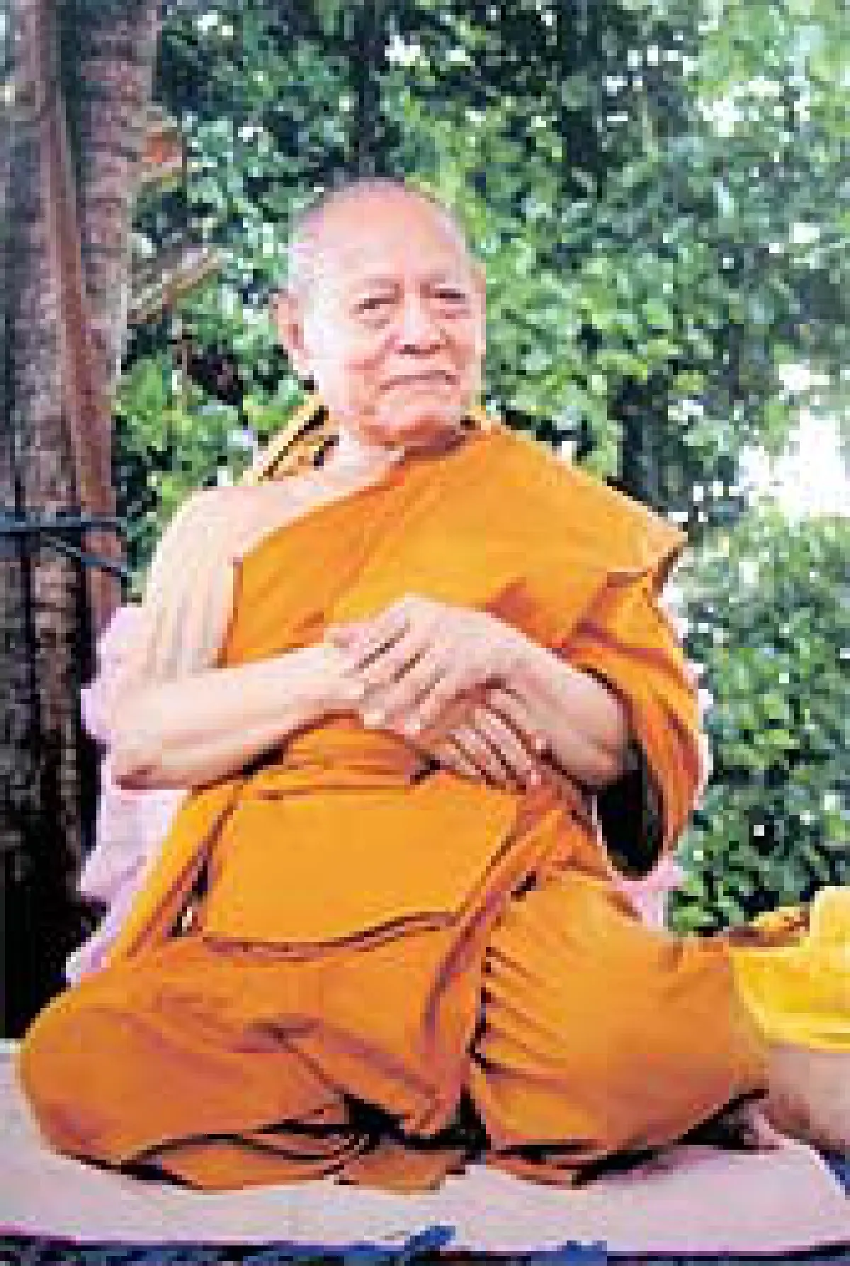 อาลัยสมเด็จพระมหาธีราจารย์(นิยม ฐานิสสรมหาเถระ ป.ธ.9)