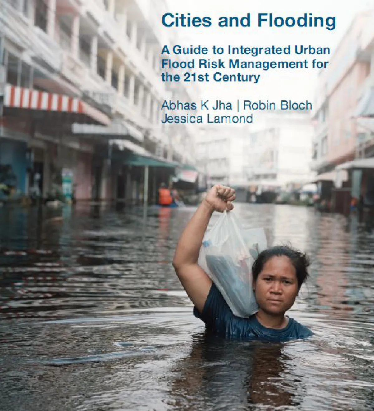 World Bank FLood report
