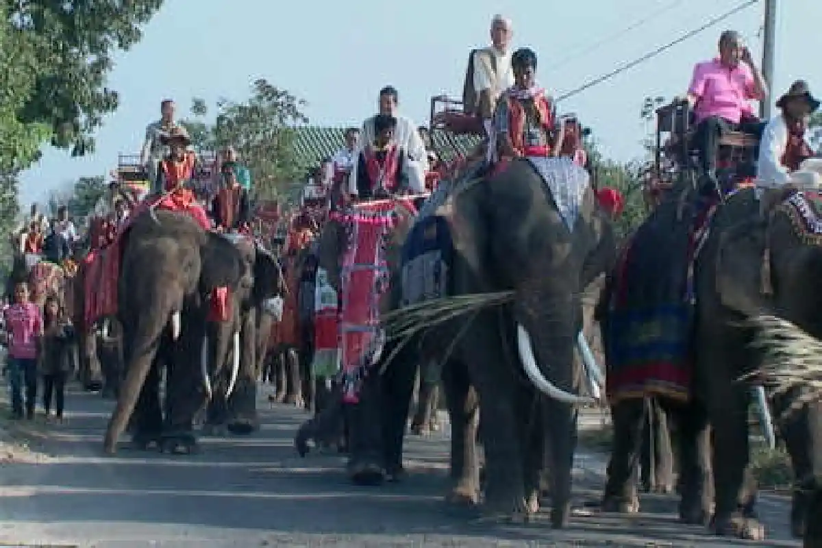 อลังการแห่ขันหมากแต่งงานหลังช้าง