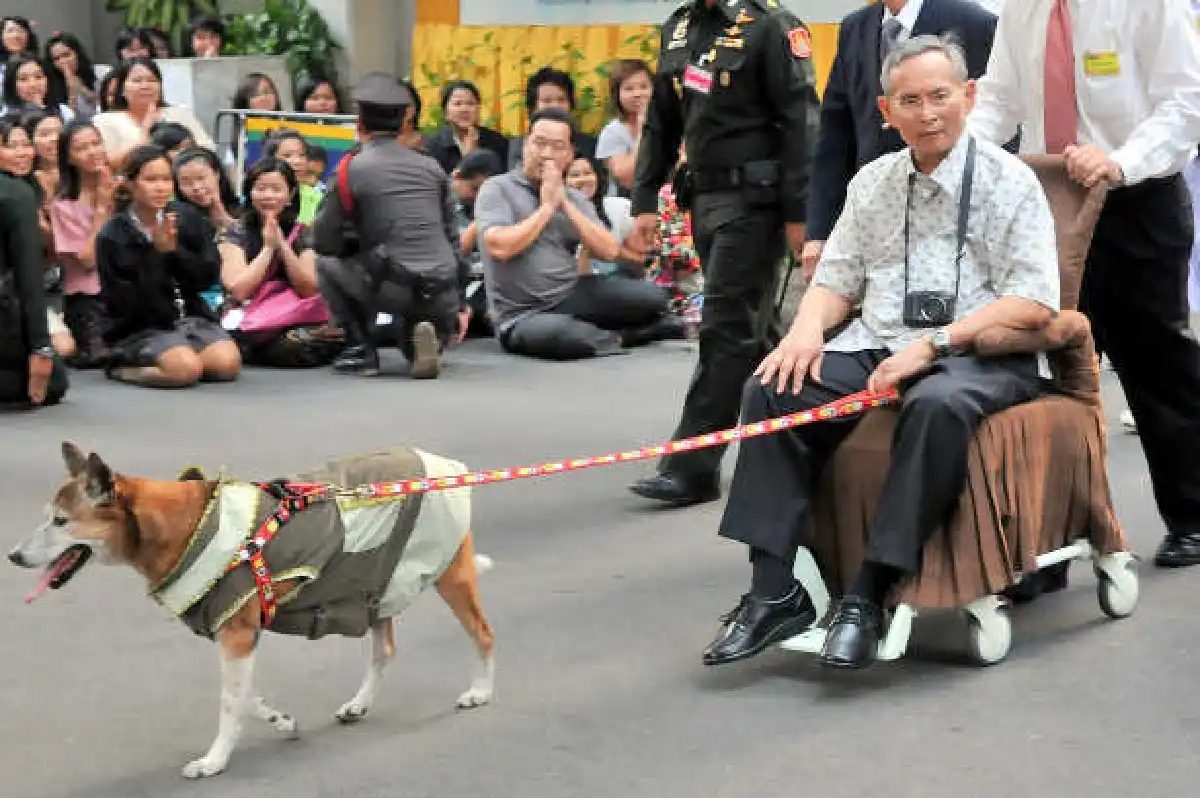 ในหลวงทอดพระเนตรแม่น้ำเจ้าพระยา