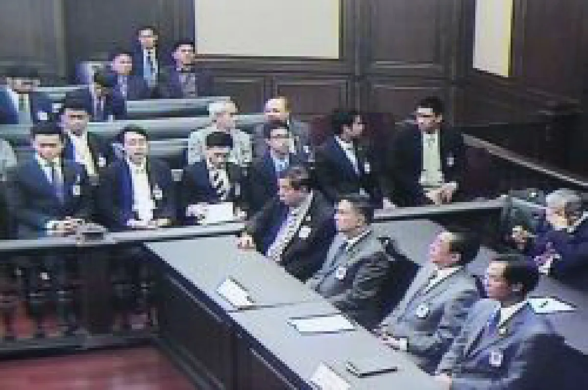 constitutional court
