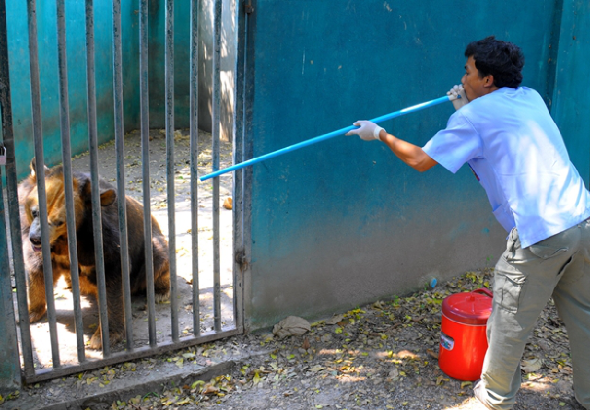 Raid on wildlife centre nets 103 animals