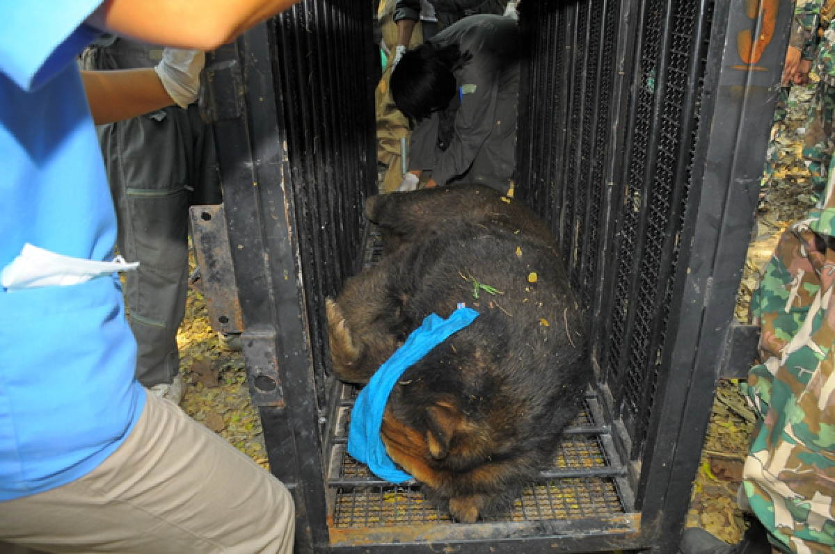 Raid on wildlife centre nets 103 animals
