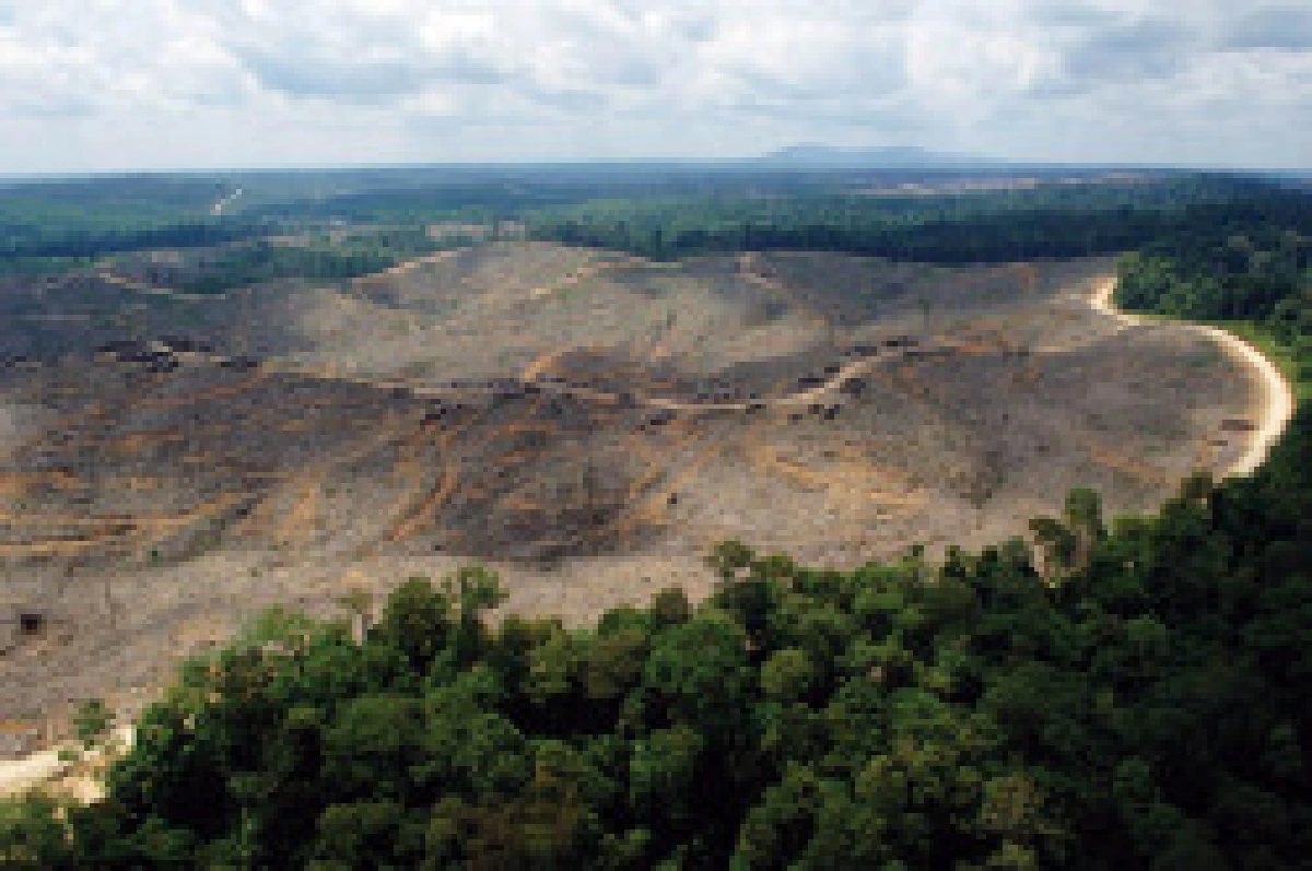 ทส.เดินหน้าเร่งรัดฟื้นฟูป่าต้นน้ำ