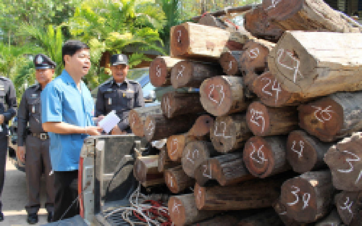 รวบแก๊งค้าไม้พะยูงยึดล็อตใหญ่กว่า20ล.