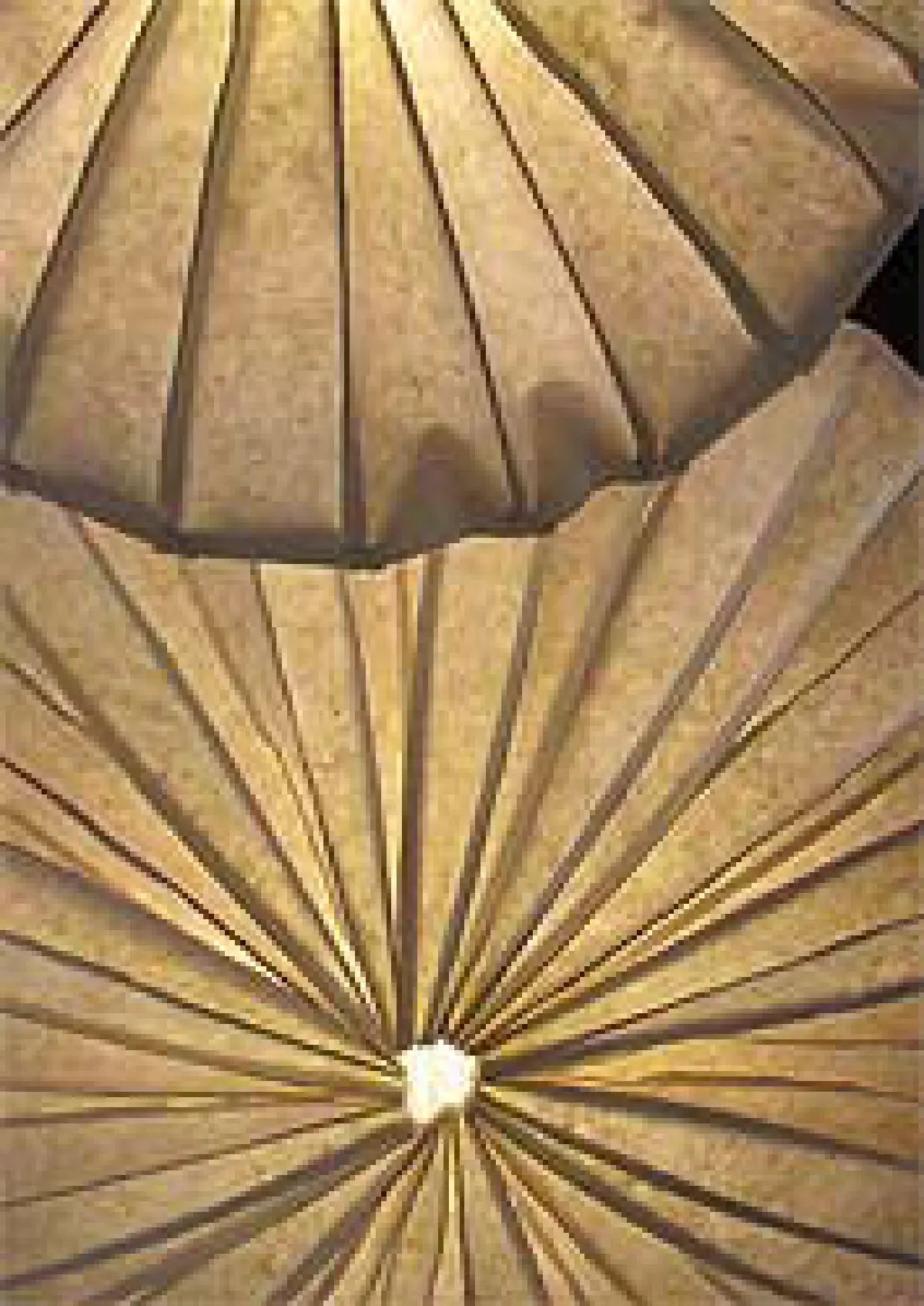 กระดาษเยื่อกล้วยเพิ่มมูลค่าได้มากกว่าที่คิด