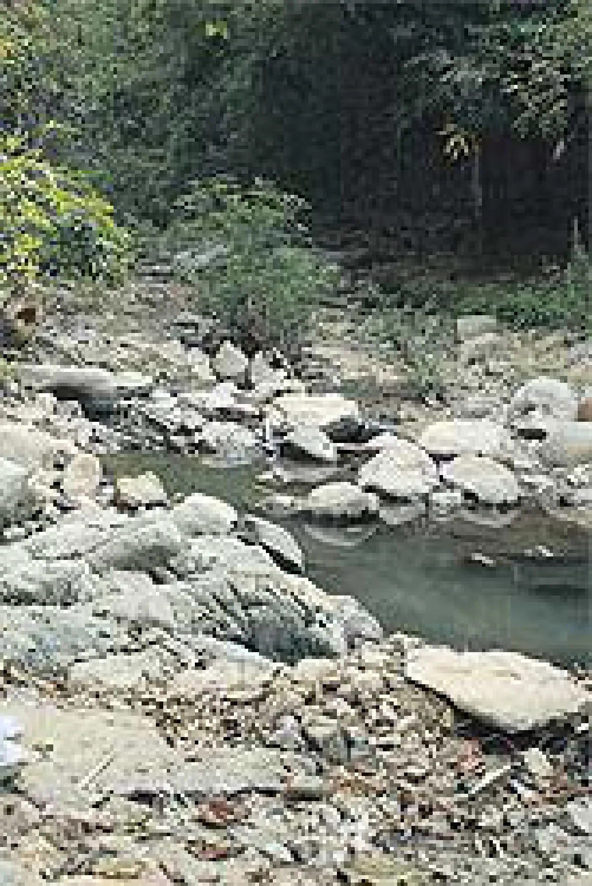 แม่ทา...ชุมชนต้นแบบ & ความสุขที่ยั่งยืน