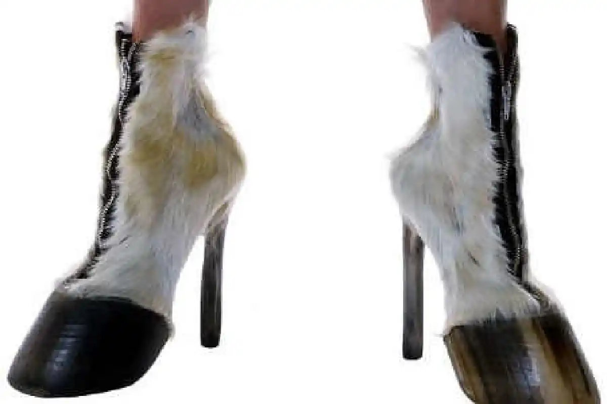 รองเท้าสุดแปลกผลิตจากซากสัตว์