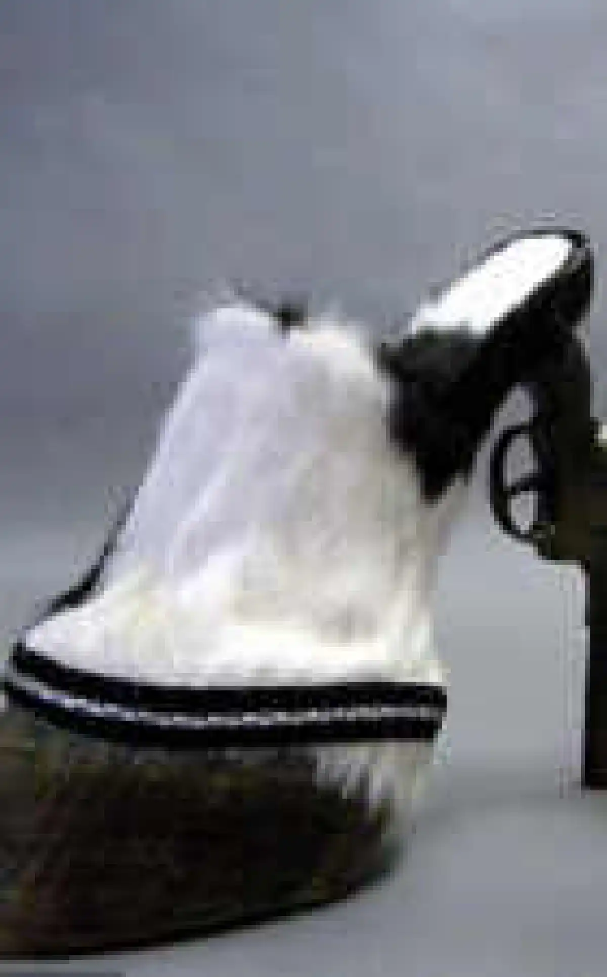 รองเท้าสุดแปลกผลิตจากซากสัตว์