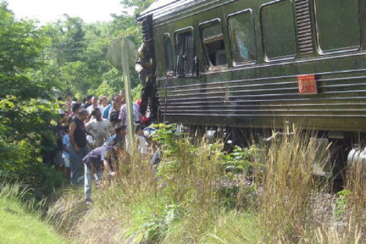 คนขับรถไฟชนรถบรรทุกดับเจ็บกว่า50