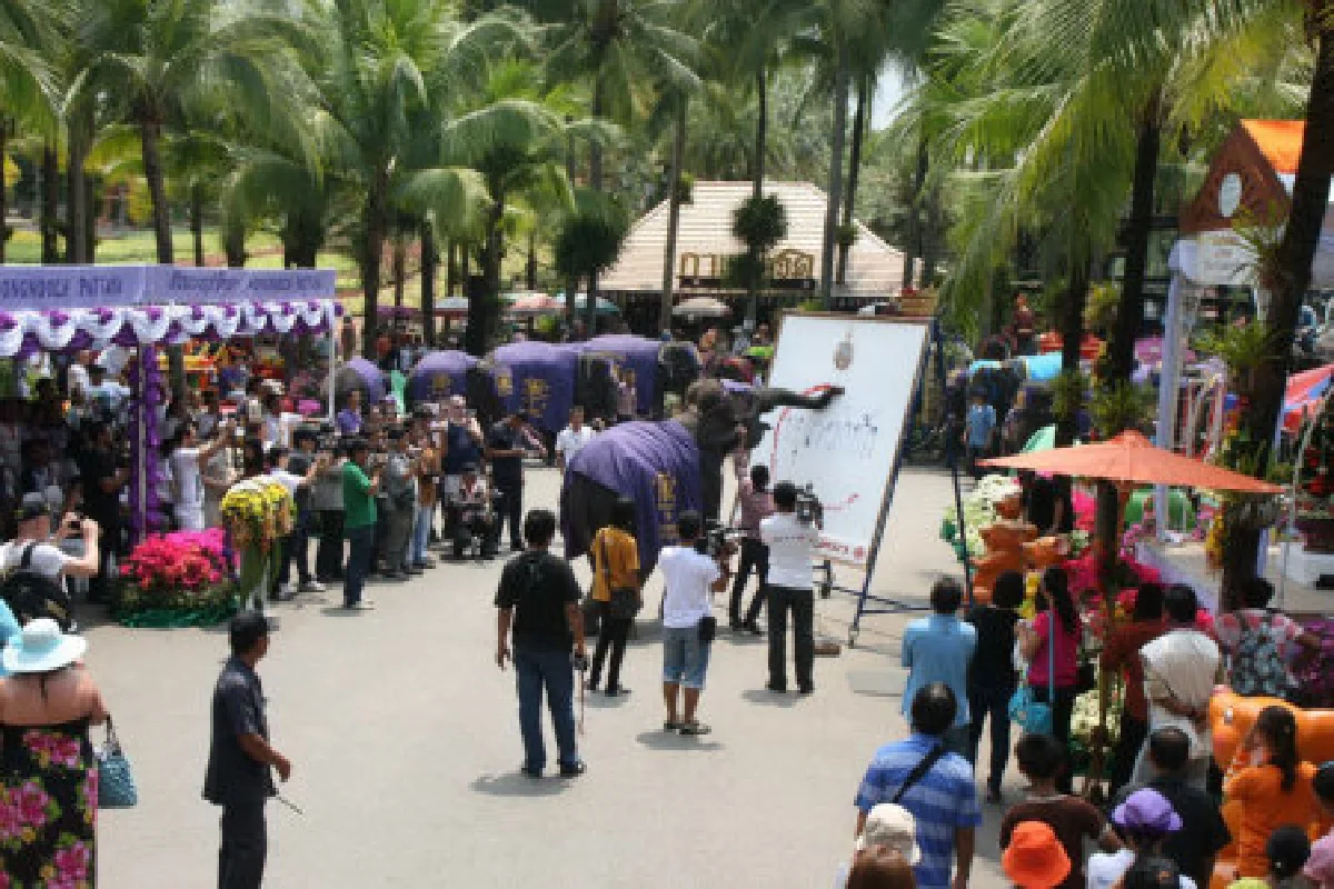 สวนนงนุชจัดใหญ่วันช้างไทย