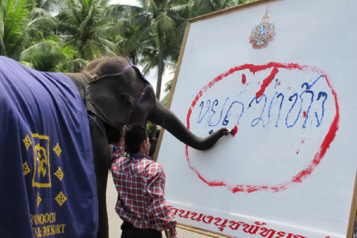สวนนงนุชจัดใหญ่วันช้างไทย