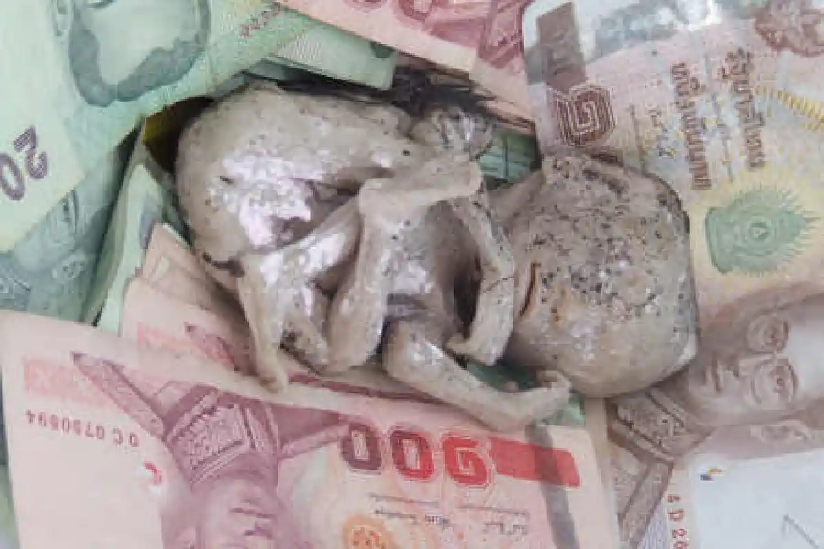 ตะลึง!พบศพทารกไม่เน่าเปื่อย