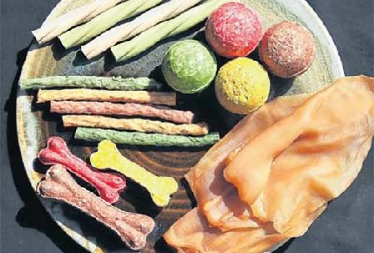 dog foods