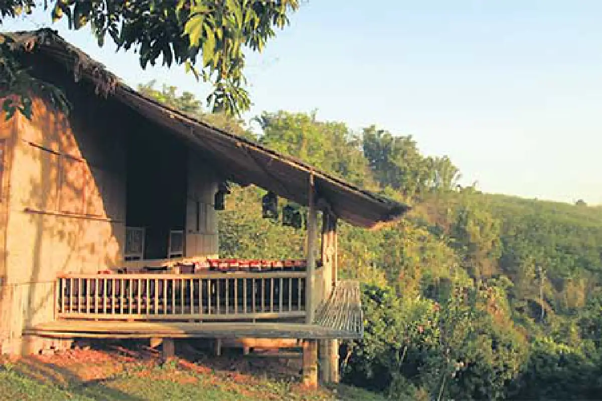 ชนัญญา ภัทรประสิทธิ์ แอน&ธรรมชาติ