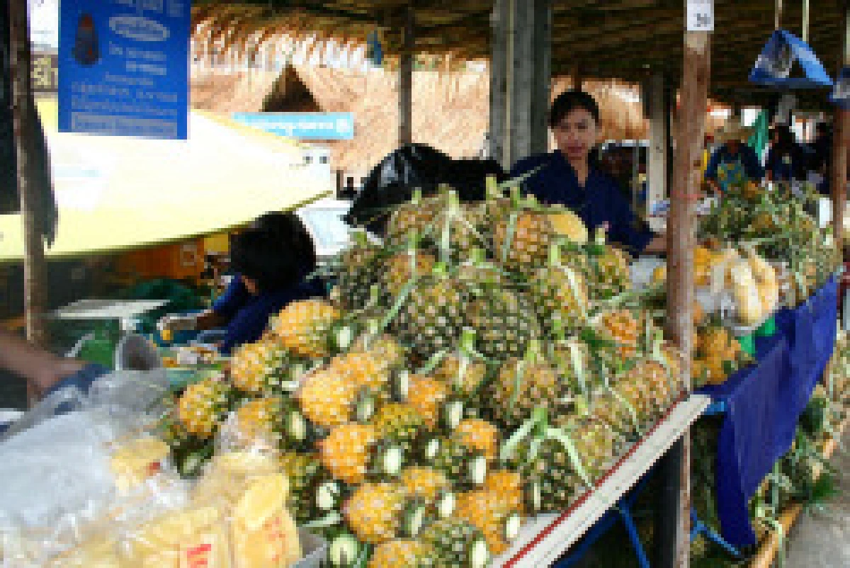ครม.อนุมัติ1.4พันล้านแก้สับปะรดราคาตก