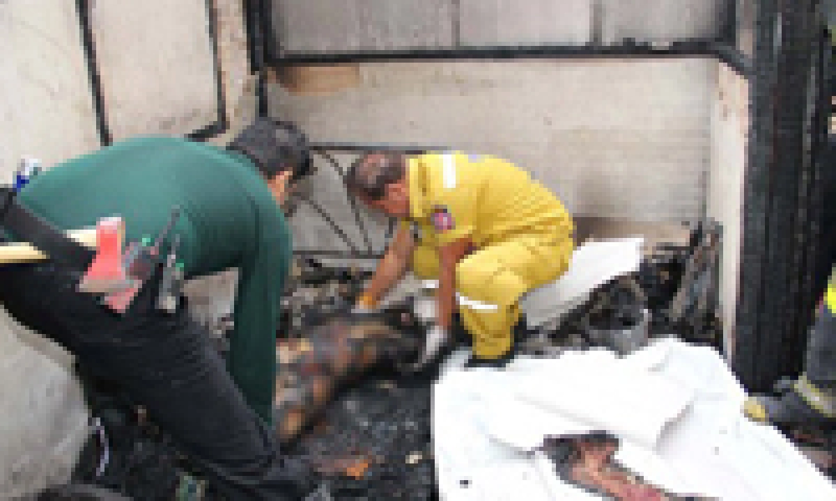 นศ.ปี 1 ม.เกษตรไฟคลอกดับปริศนา