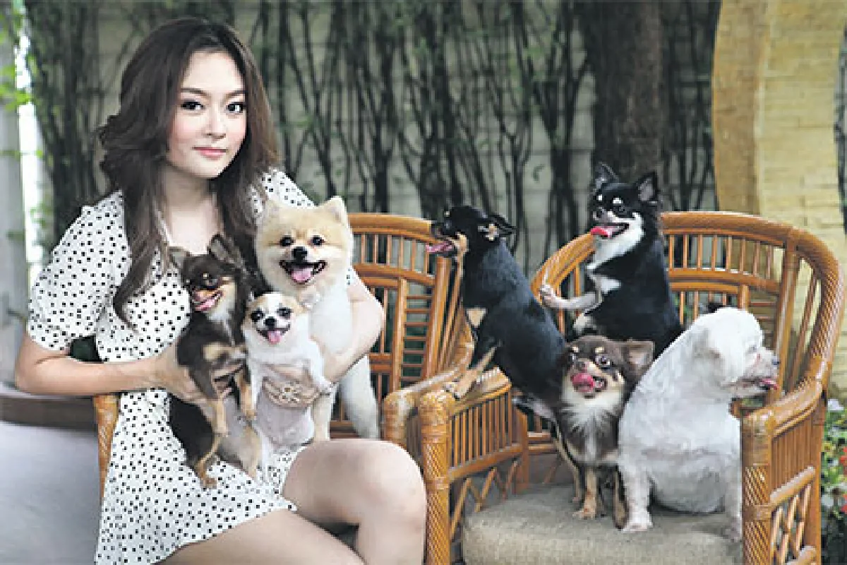 ซินเดอเรลลากับมะหมาทั้ง 7