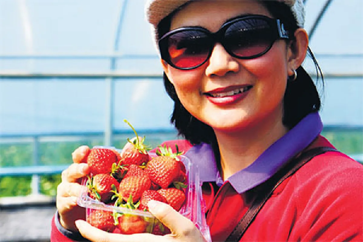 อันยองฮาเซโย ชอลลานัมโด