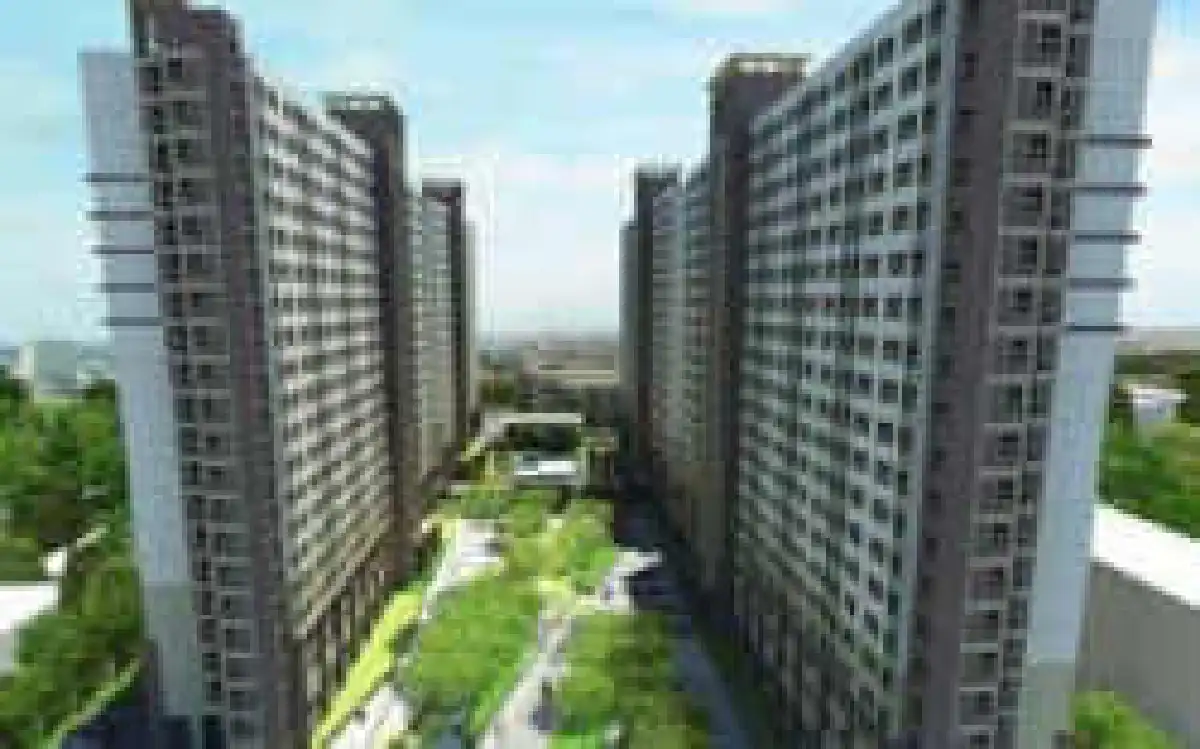 LPNไม่สะเทือนแผ่นดินไหว