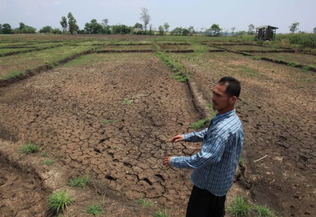 farmer and drought land