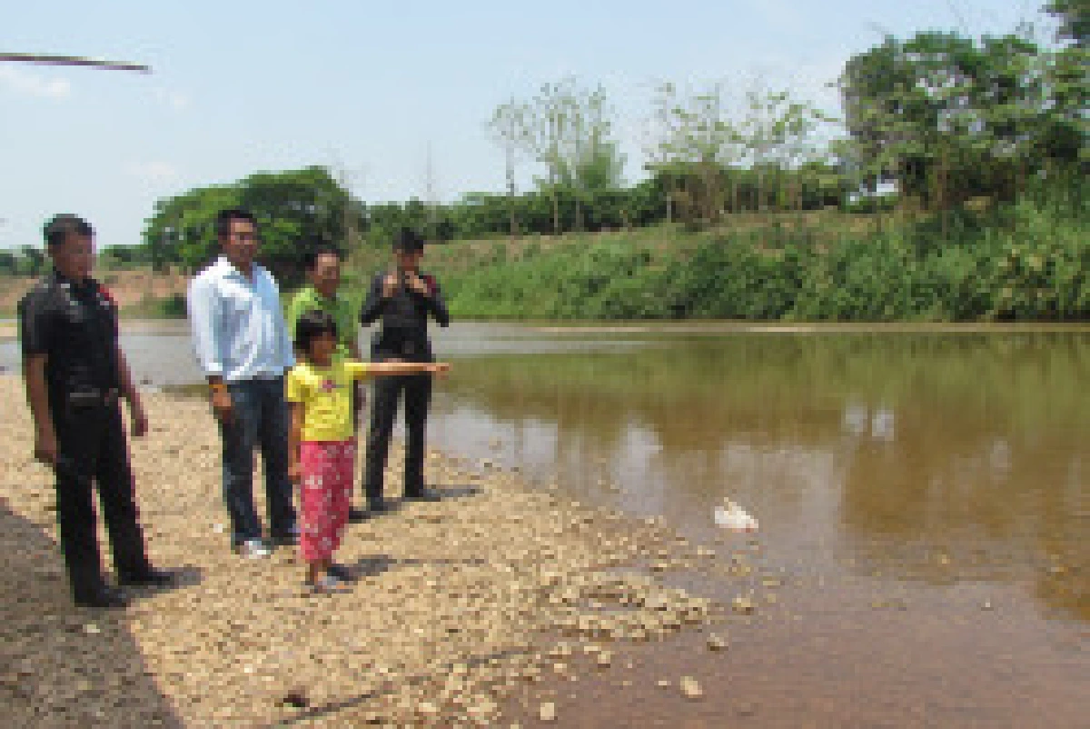 น่านผวาปักเป้าน้ำจืดกัดเด็กเลือดสาด