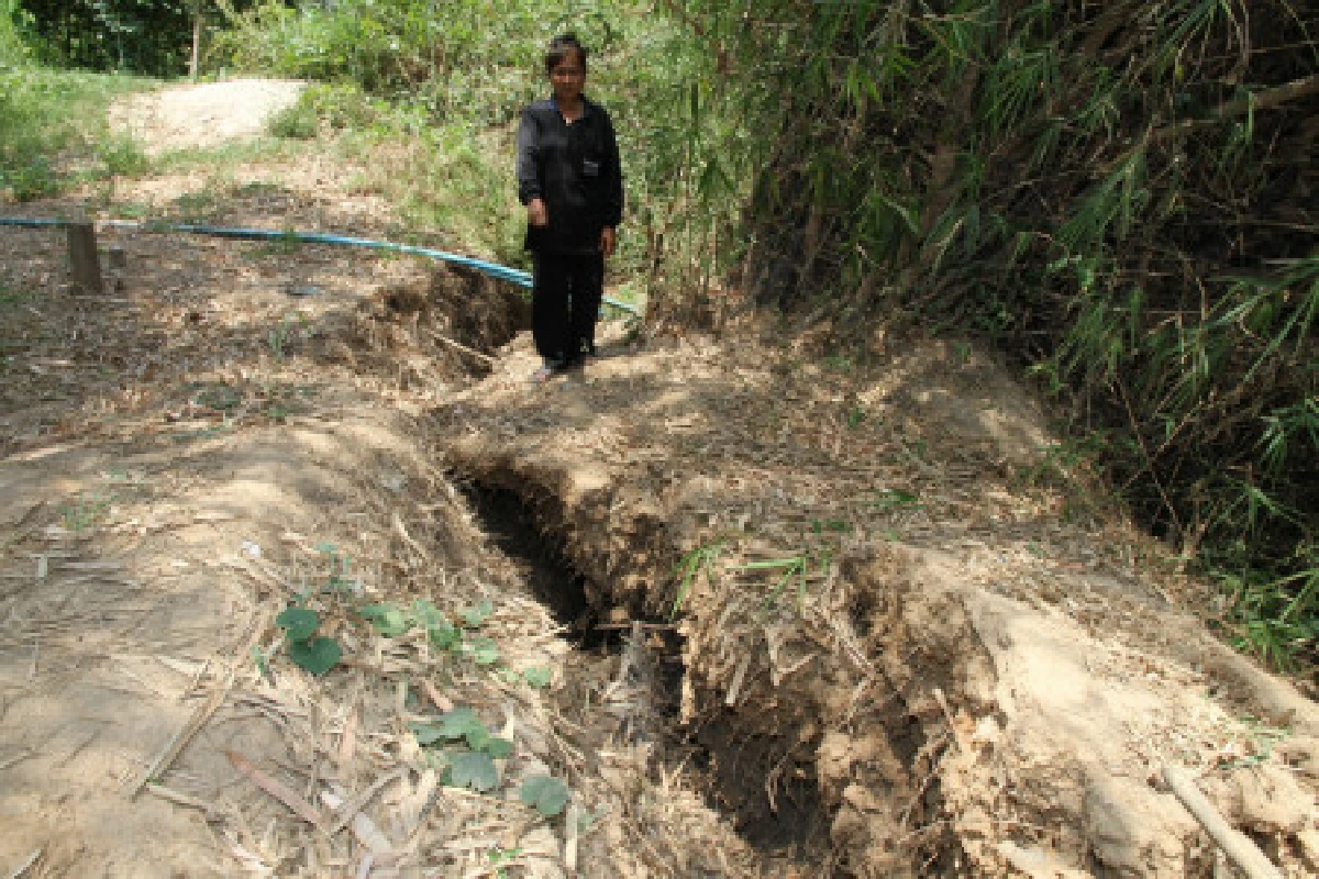 ชาวบางบาลร้องแผ่นดินเกิดรอยแยกยาว50ม.