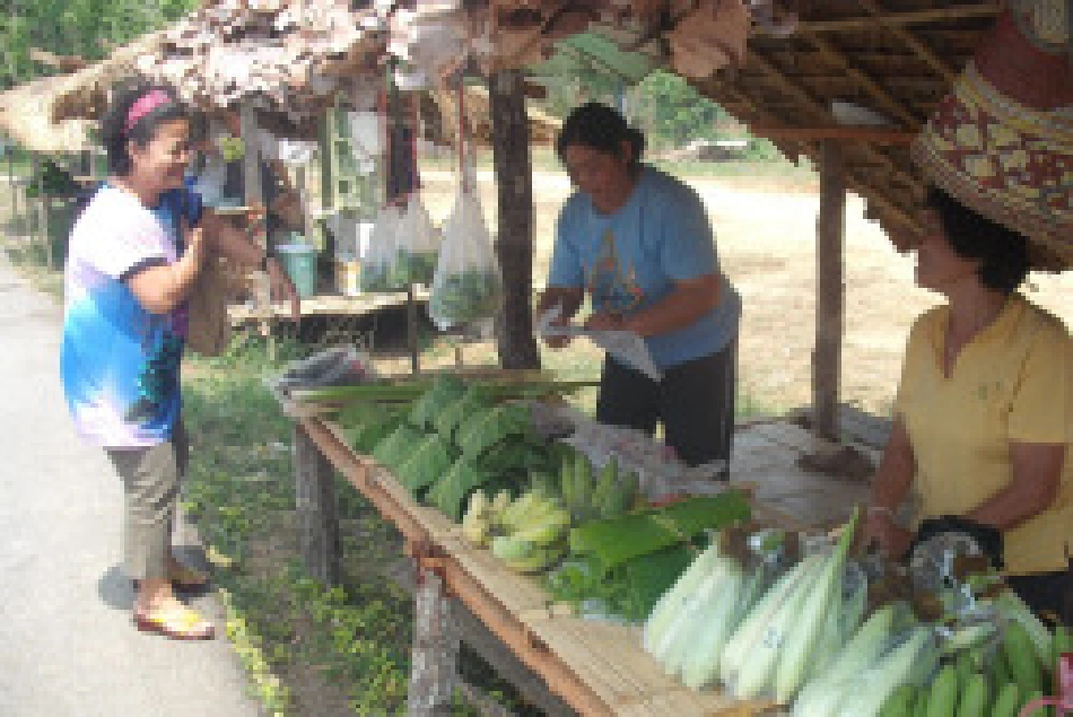 ชาวตากเก็บของป่าขายช่วงแล้ง